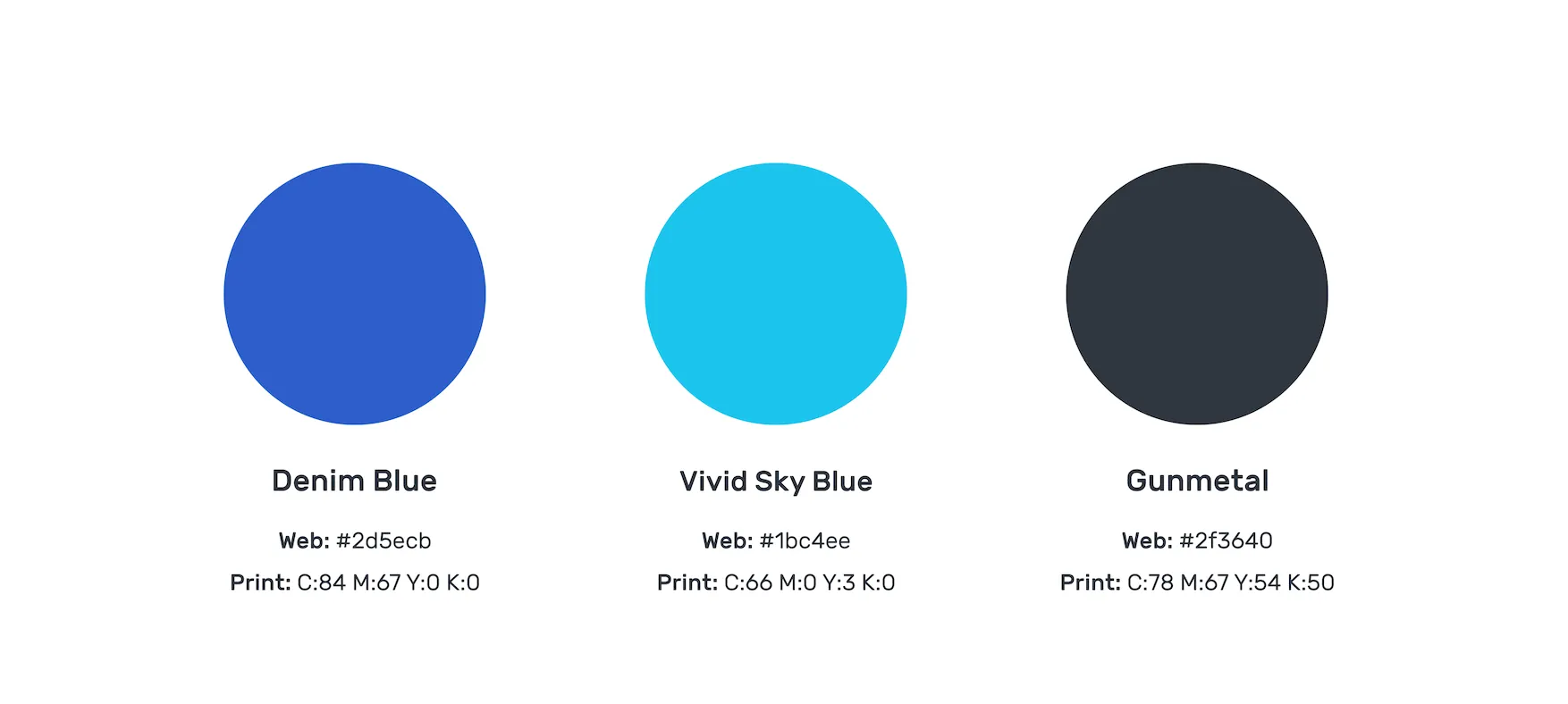 Expert Allies colour palette showing Denim Blue, Vivid Sky Blue and Gunmetal