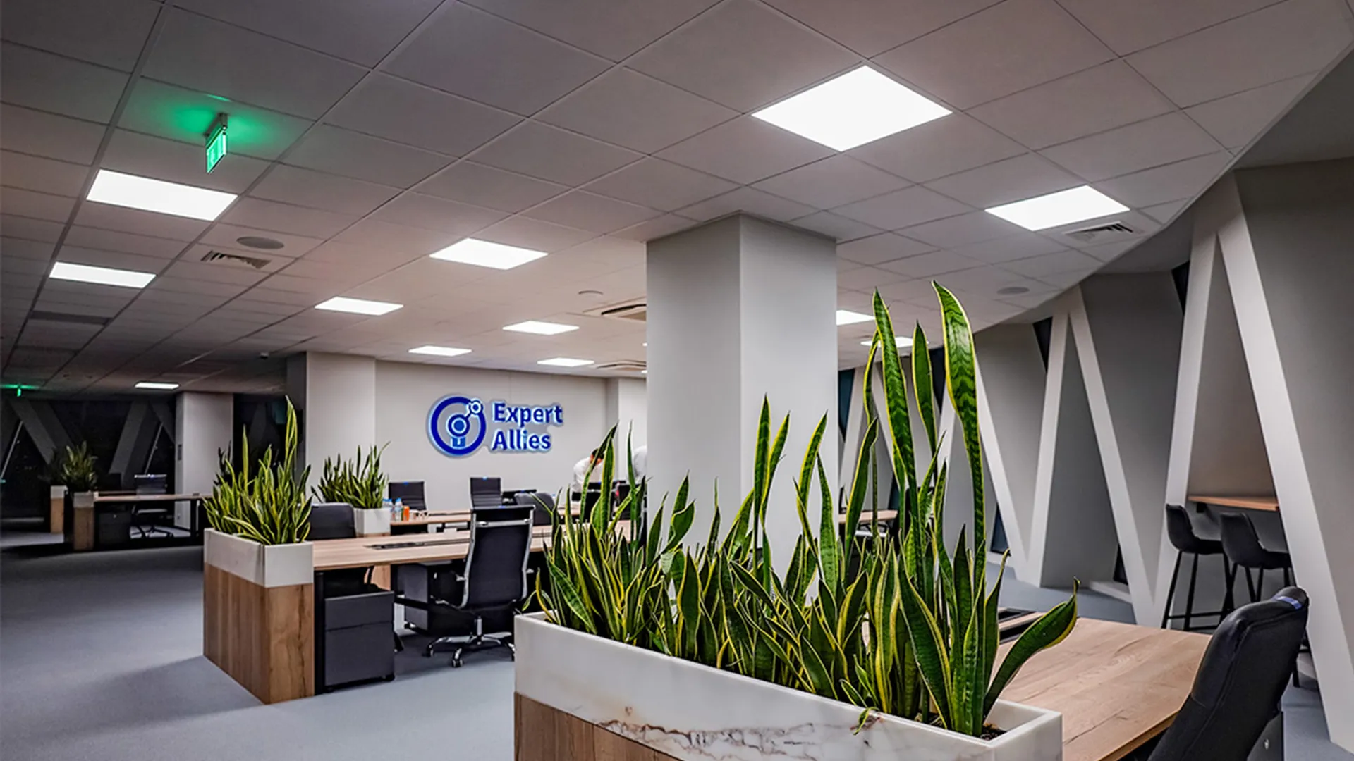 Expert Allies office space with branded signage and open-plan workspace